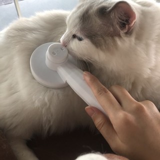 宠物美容用品测评分析怎么写