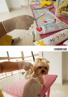 宠物美容造型画图片