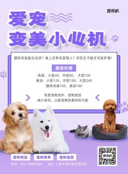 简述宠物美容的基本内容有哪些