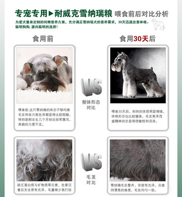 宠物美容用品测评分析怎么写的