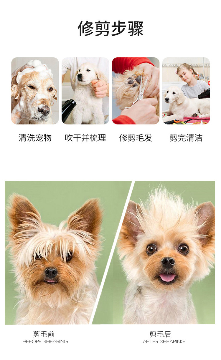 宠物美容七大步骤是什么