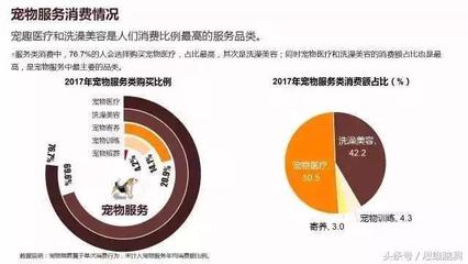 宠物美容市场调查分析