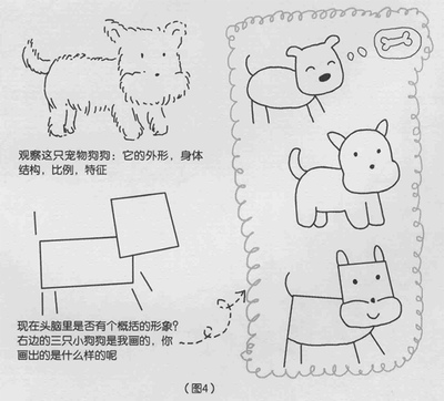 宠物美容画图步骤比例