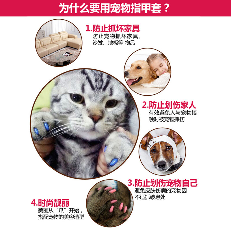 宠物美容类型分类