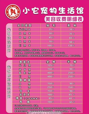 宠物美容类型有哪些项目