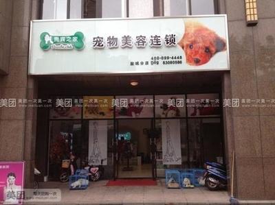 宠物美容连锁