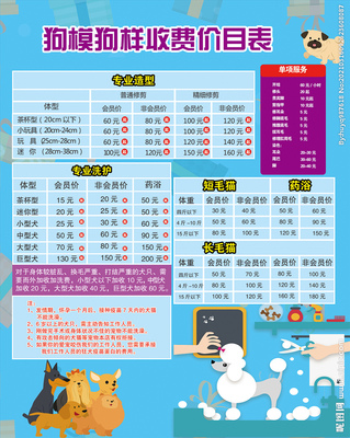 宠物店美容项目