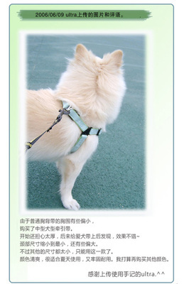 宠物美容用品测评评语