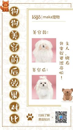 宠物美容好评100字通用评论