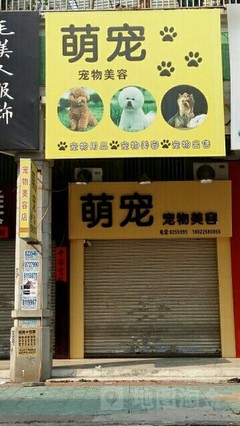 萌宠宠物店怎么样