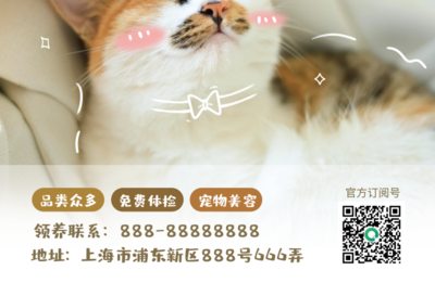 宠物美容品类适配表图片及价格