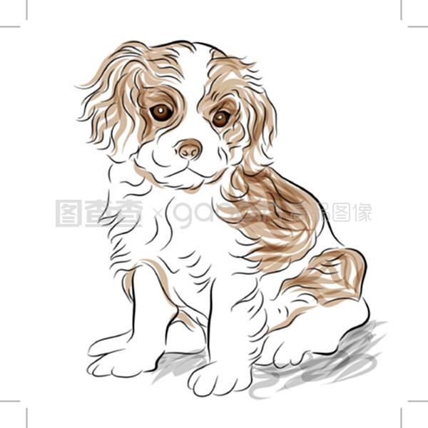 宠物美容画画基本图形图片