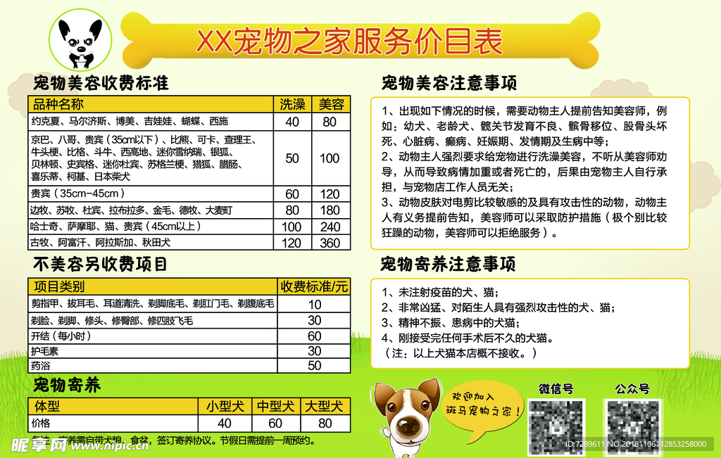 宠物美容须知怎么写