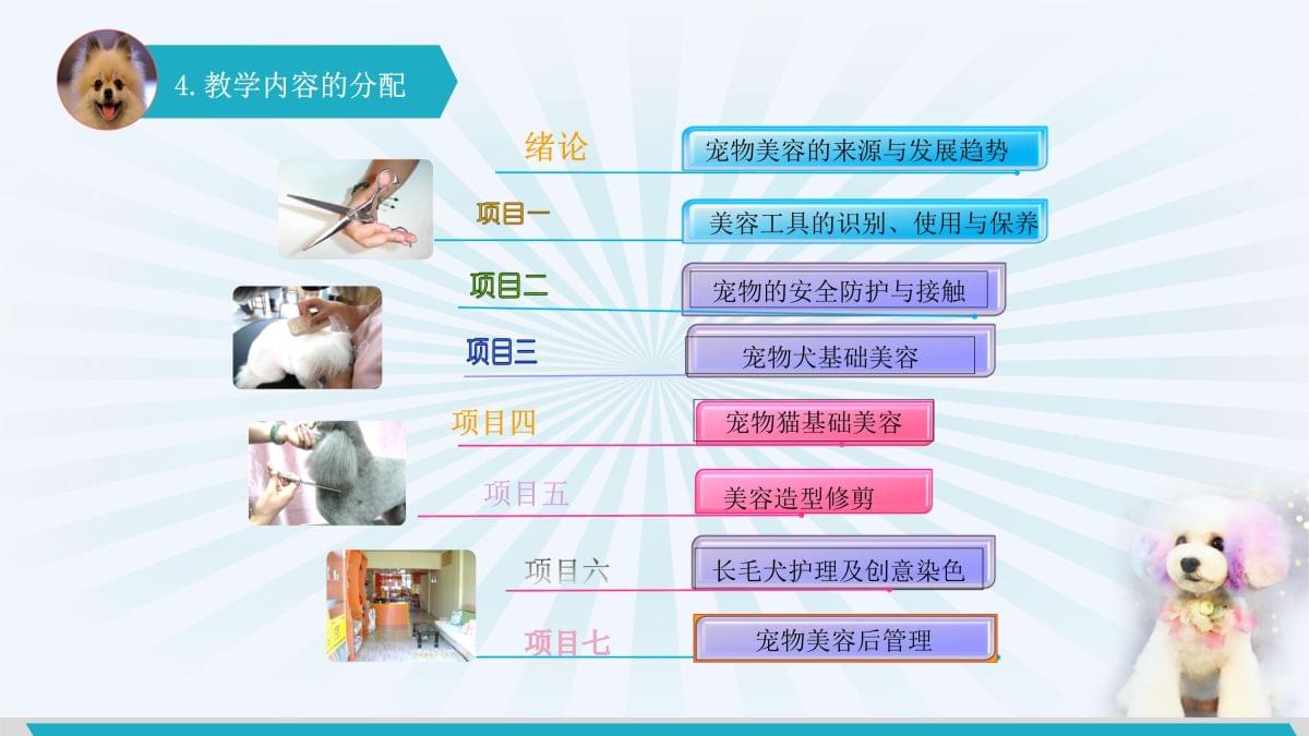 宠物美容工具的识别