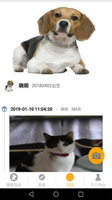 宠物美容好评评语简短