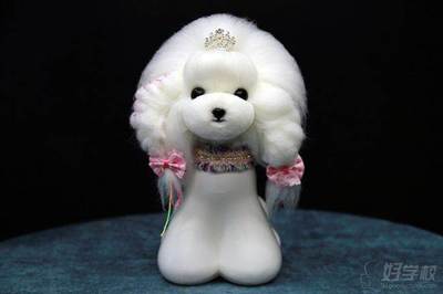 宠物美容造型图