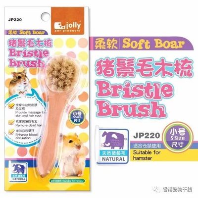 宠物美容产品有哪些