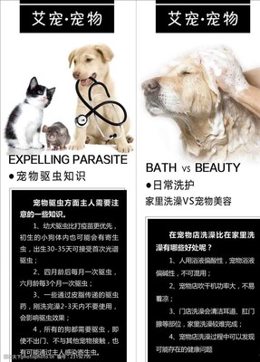 宠物美容的定义是什么